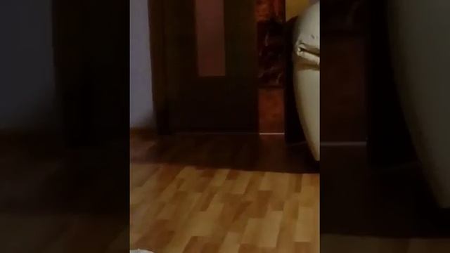 Опишите комнату смотреть онлайн