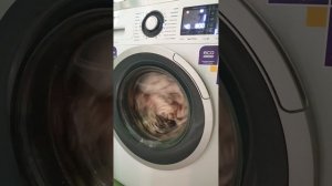 Отзыв о СМА Атлант 70У1214-01, которая превращает 3 минуты до окончания стирки в один час!