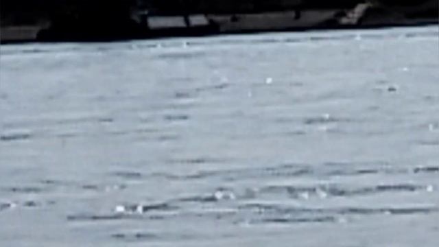 Первый спуск лодки в сезоне 2023 #Енисей смотреть онлайн