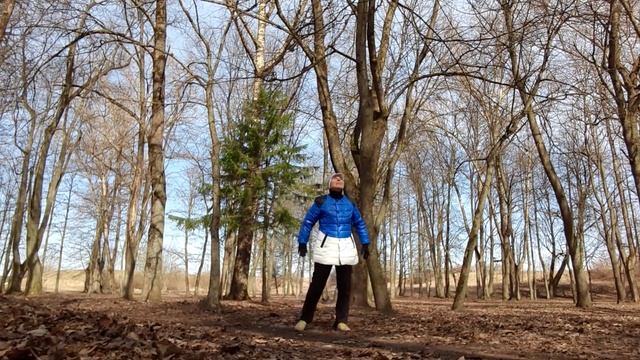 15.04.2021. Ади Шакти. смотреть онлайн