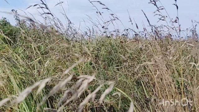 Тест режима замедленной съёмки на Самсунг Гэлакси А52!