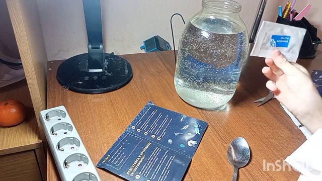 вырастил настоящих живых рачков ! смотреть онлайн