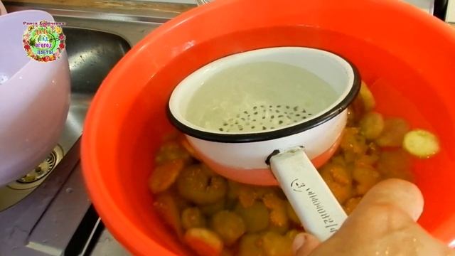 Приготовьте вкусные чипсы из баклажанов на зиму смотреть онлайн