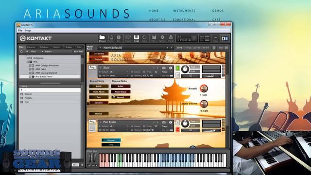 Aria Sounds Ethnic Flutes Bundle Demo - SoundsAndGear.com смотреть онлайн