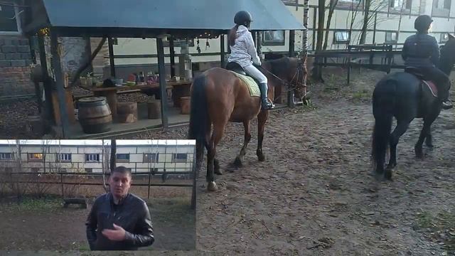 Занятия Верховой ездой смотреть онлайн