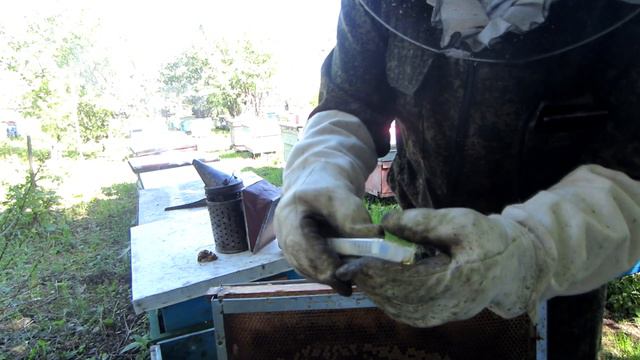 100% СПОСОБ, СМЕНА И ПОДСАДКА ПЛОДНОЙ МАТКИ ЧЕРЕЗ ИЗОЛЯТОР смотреть онлайн