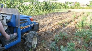 Копаем картошку минитрактором.