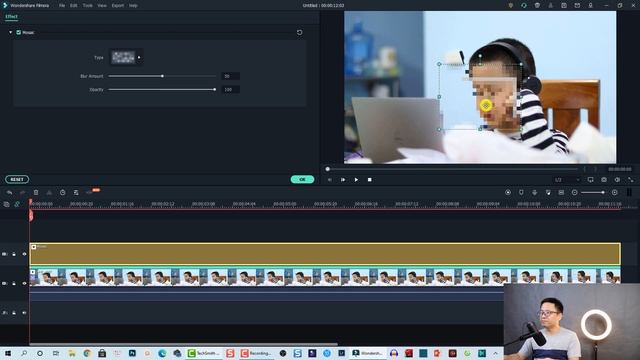 Filmora X Blur Effect - How To Blur Your Face In Filmora?