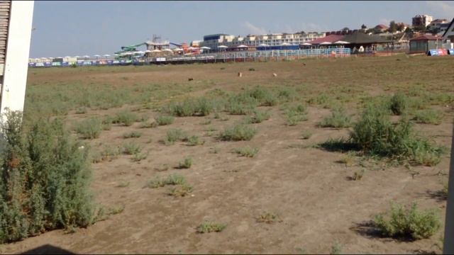 ВОР в Баку украл у меня деньги! #азербайджан #вор смотреть онлайн