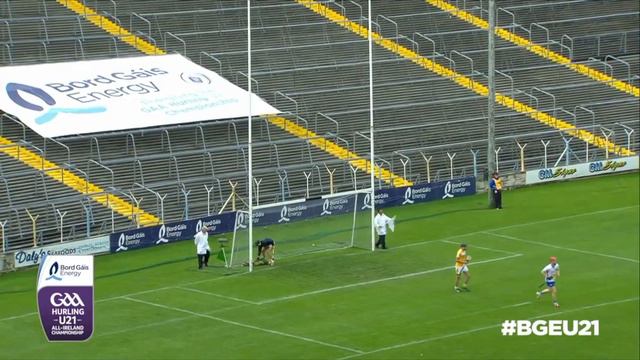 Austin Gleeson | The Magician | Skills, Goals & Points! смотреть онлайн