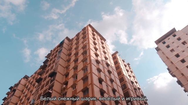 6 пород собак для аллергиков, для маленькой квартиры и для детей смотреть онлайн