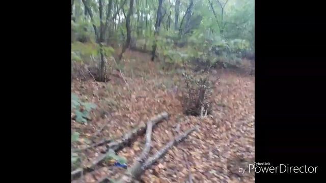 Обзор по Анапе.Прогулка по лесу.Близ Анапы смотреть онлайн