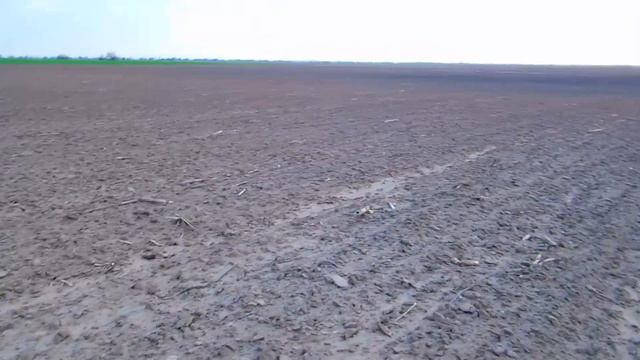 Подсолнечник и Органическое Удобрения 🐖🐖 смотреть онлайн