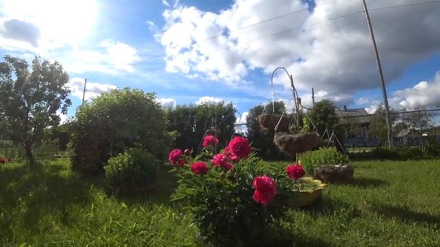 Что собрались покупать...О Сыновьях....Пол в шатре. смотреть онлайн