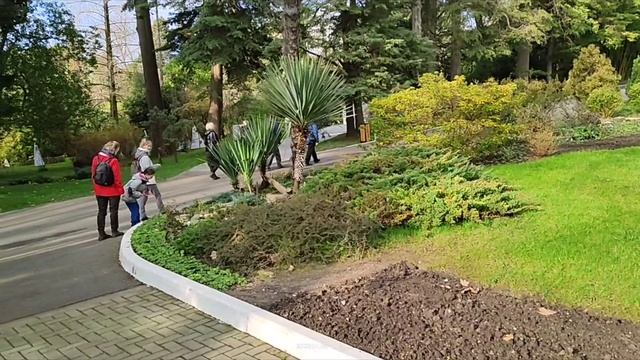 Дендрарий в городе Сочи. 5 января 2023. Часть 1