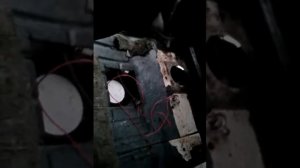 Грэйт вол Дир не заводится