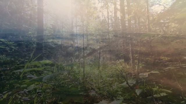 Incredible landscapes of our planet 4K UHD relax music смотреть онлайн