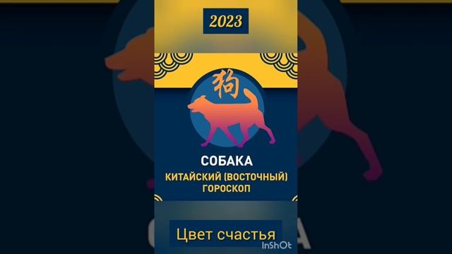 Китайский гороскоп на 2023 год Собака Цвет Счастья #гороскоп #счастье #восточный #собака #удача смотреть онлайн