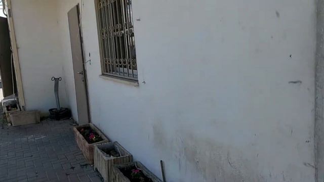 22.09.22 Хариш -Кфар Кара. Где пройти быстро тест на машину рядом с Харишем. 046354187,046351714 смотреть онлайн