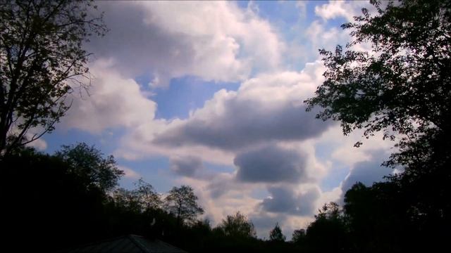 Релакс. Звуки природы.Пение птиц.Природа. Relax. Sounds of nature. Birds singing. Nature. смотреть онлайн