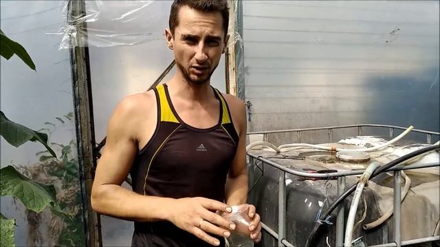 ПОДКОРМКА ОГУРЦОВ КАЛЬЦИЕМ И КАЛИЕМ! смотреть онлайн