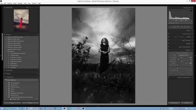 Photoshop + Alien Skin Exposure 7: Portrait Speed Editing смотреть онлайн