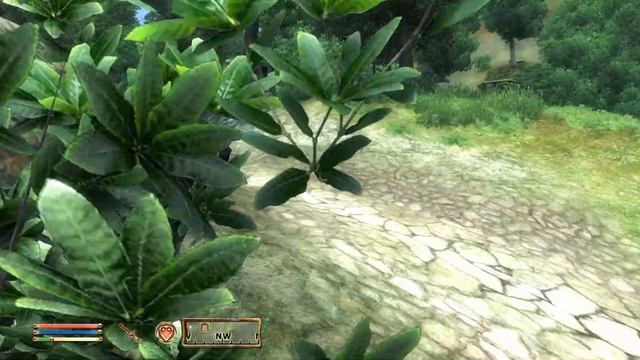 The Elder Scrolls IV: Oblivion Walkthrough No Comment part 3# Invisible people смотреть онлайн
