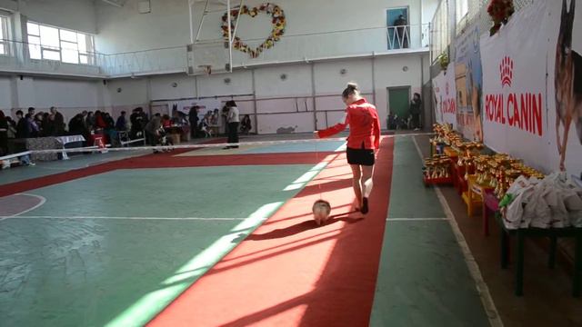 Выставка Херсон 15.03.15 Мистика беби смотреть онлайн