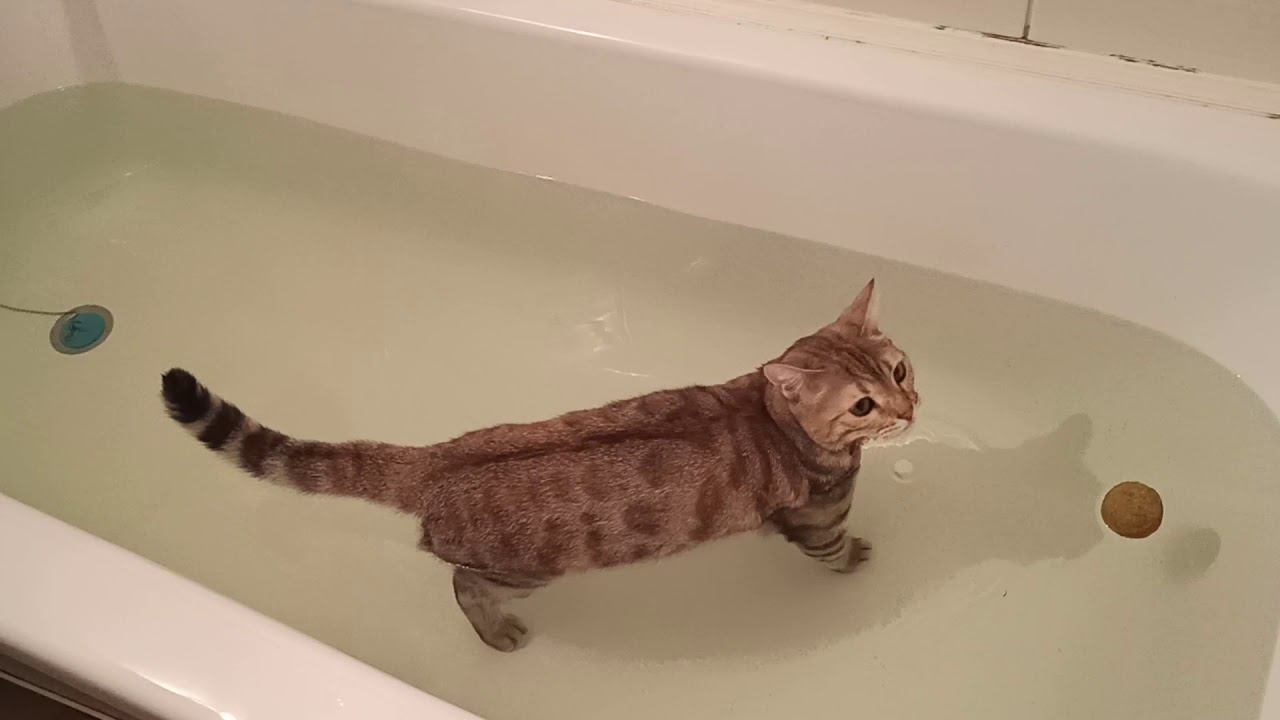 16 января 2020 г. смотреть онлайн