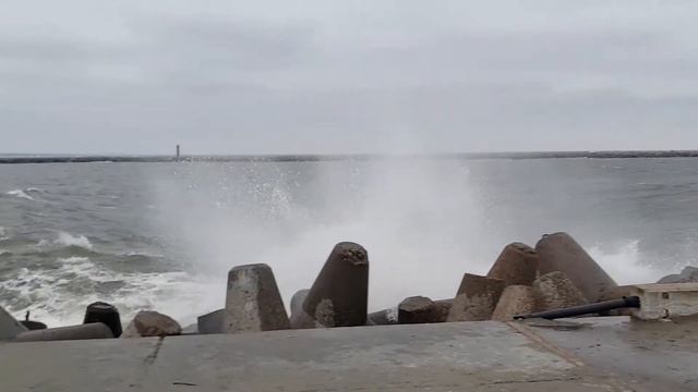 Салака. Отчёты. смотреть онлайн