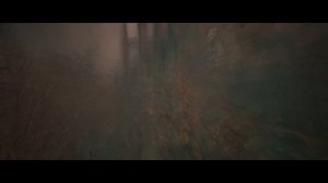 LORDS OF THE FALLEN - ТРЕНИРОВКА ПАРИРОВАНИЯ и КАКОЙ ТО ЧЕРТ НА ДРАКОНЕ