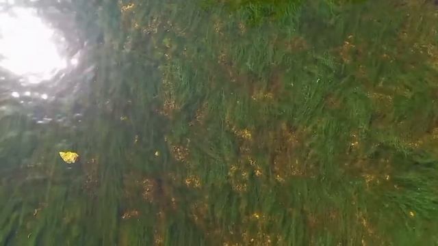 Ленобласть. Саблинские водопады. смотреть онлайн