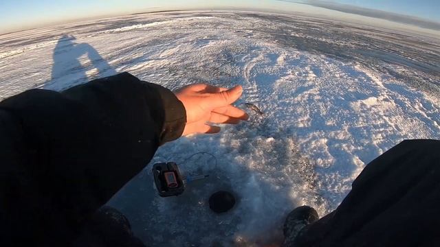 ОКУНЬ ЖРЁТ ОГРОМНУЮ САМОДЕЛЬНУЮ БЛЕСНУ! МАРАЛИСТИК 70мм. ЗИМНЯЯ РЫБАЛКА НА ЛАДОГЕ. смотреть онлайн