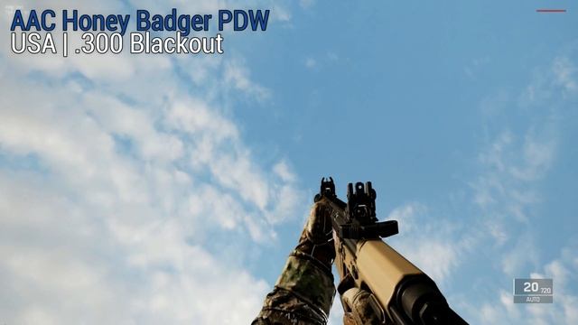 PROJECT WRAITH Demo - All Weapons смотреть онлайн