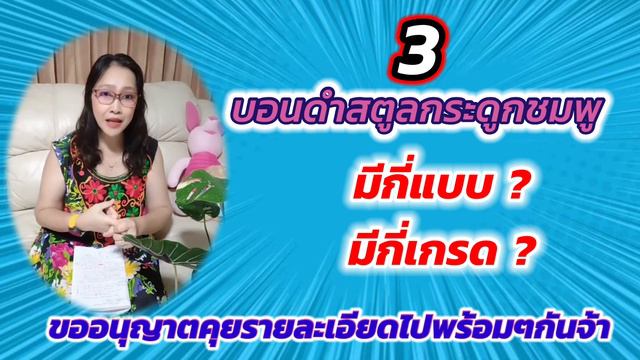 Ep14 : 4 เรื่องที่คุณต้องรู้…ก่อนซื้อบอนดำสตูลกระดูกชมพู (ปรับปรุงภาพและเสียง) смотреть онлайн