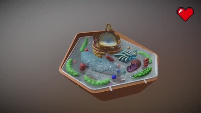 Строение растительной клетки. Изучаем в 3D смотреть онлайн