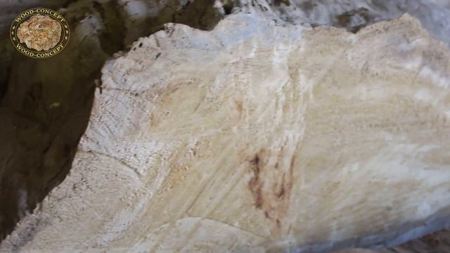 Магазин слэбов  дерева/обработка слэба дерева/WOOD CONCEPT