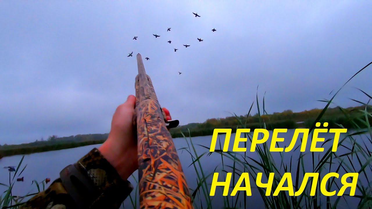 УТКИ СЕЛИ НА ГОЛОВУ!!! ПЕРЕЛЕТ НАЧАЛСЯ. Охота на утку с манком. РОЗЫГРЫШ от "ножевая Самойлова В.М" смотреть онлайн