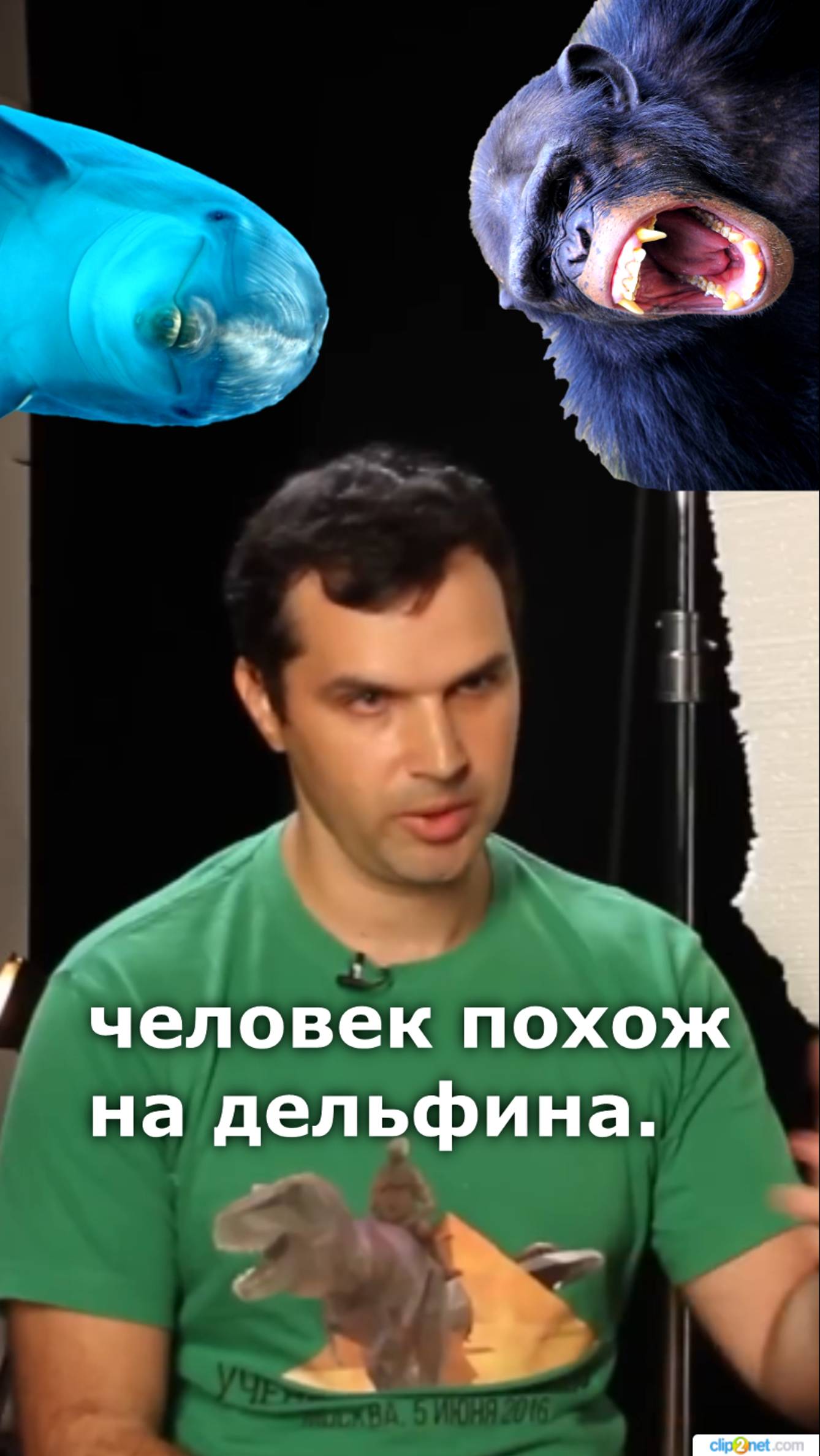 Чем человек похож на дельфина? Пранк журналистки РЕН-ТВ смотреть онлайн