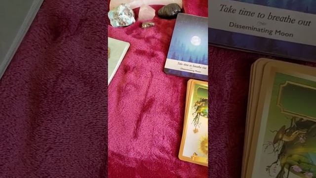 ??Super full moon in Scorpio reading ? 4/26/2021 смотреть онлайн