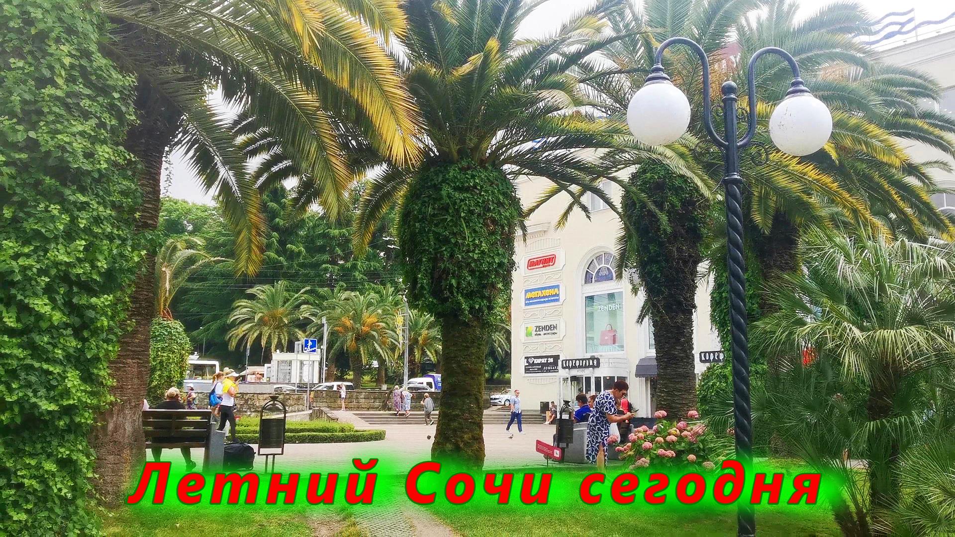 Летний Сочи сегодня смотреть онлайн
