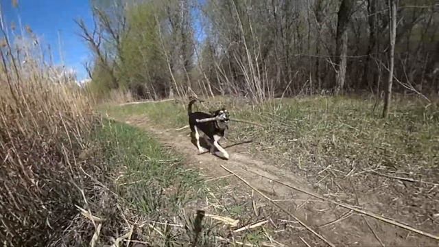 Slow Motion видео с Sony X3000 смотреть онлайн