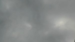 ГОЛУБИ Саши афганца, часть -  1  (узбекские, касаны, бакинские, свердловские)