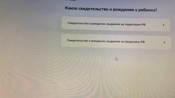 Делаем загранпаспорт ребёнку/Паспорт через Госуслуги