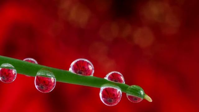 Очень красивая музыка для йоги и медитации смотреть онлайн