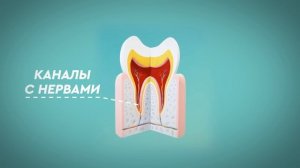 Новые технологии в стоматологииНовые технологии в стоматологии