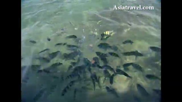 Hikkaduwa Beach, Sri Lanka by Asiatravel.com смотреть онлайн
