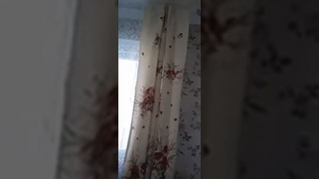 я боюсь людей (перезалив иидк/имя и друзья красавица/гордей инютин) смотреть онлайн