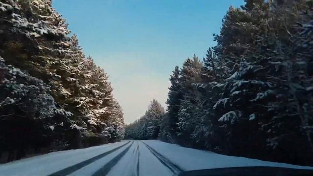 Легендарный Subaru Levorg. Мощный, но семейный. Новое поступление в компании “Честные машины»