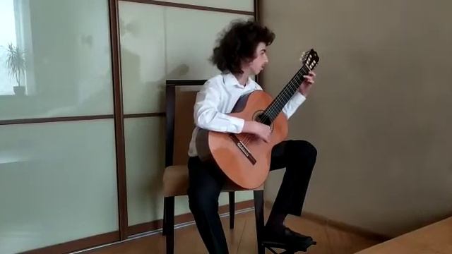 М.Джулиани Этюд Ор.48 исполняет Лапин Даниэль смотреть онлайн